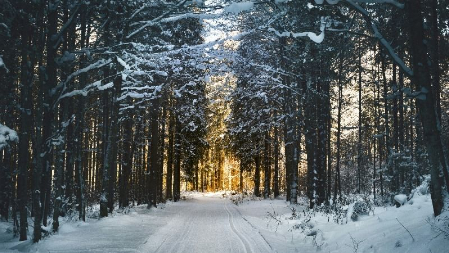 Народные приметы на 3 февраля &mdash; что нельзя делать в этот день