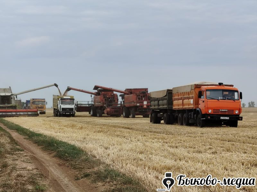 Глава района мониторит ход уборочных работ зерновых