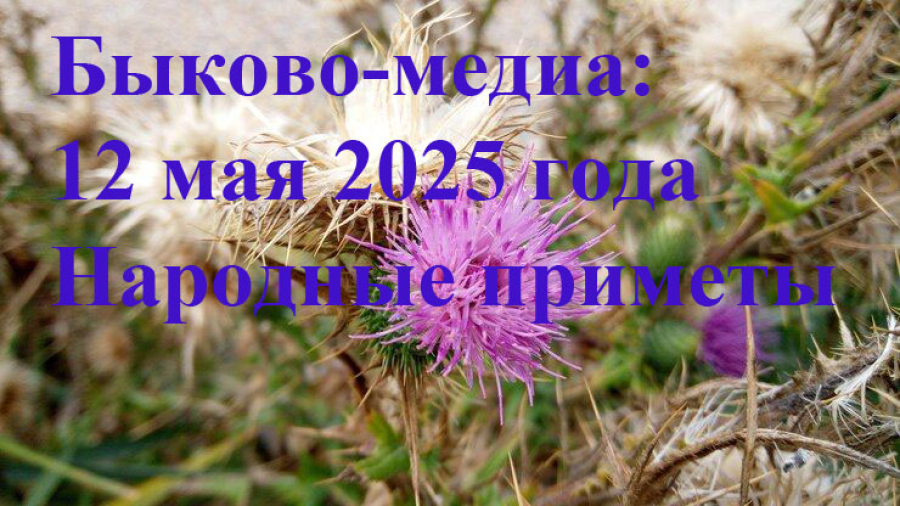 Народные приметы на 12 мая 2025 года