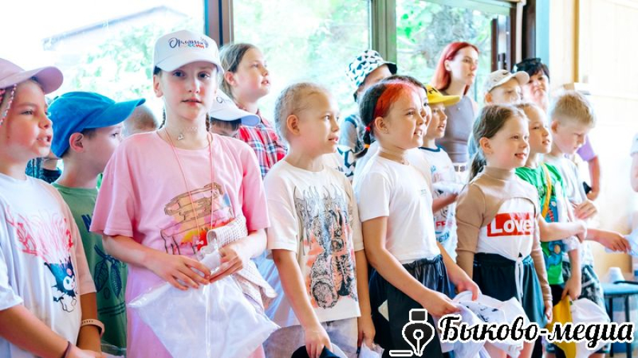 Как и кто может получить сертификат на отдых и оздоровление детей?
