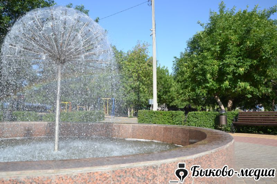 В Быково обновили оборудование для благоустройства парка