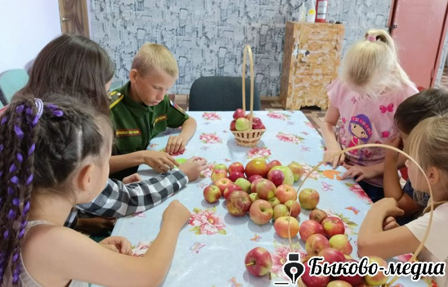 В Александровке  провели праздник"Яблочный спас"