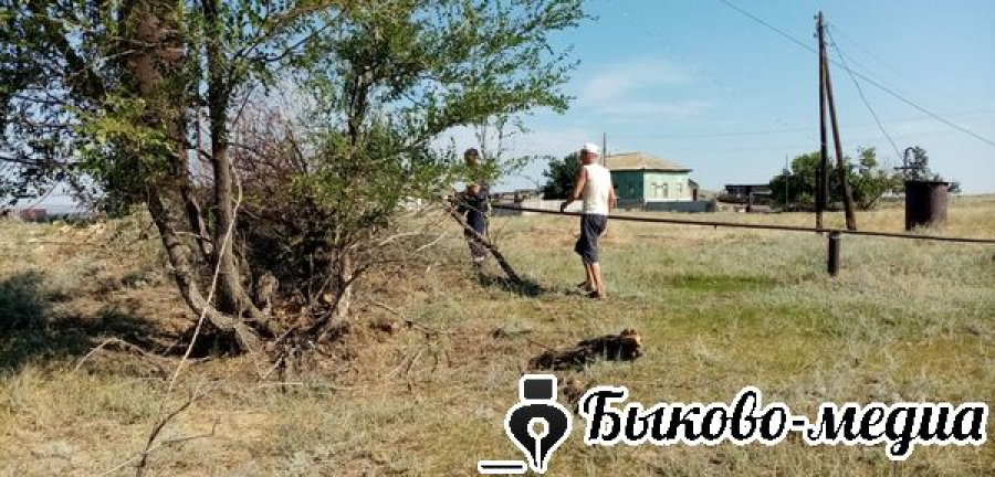 В Зеленом наводят порядок