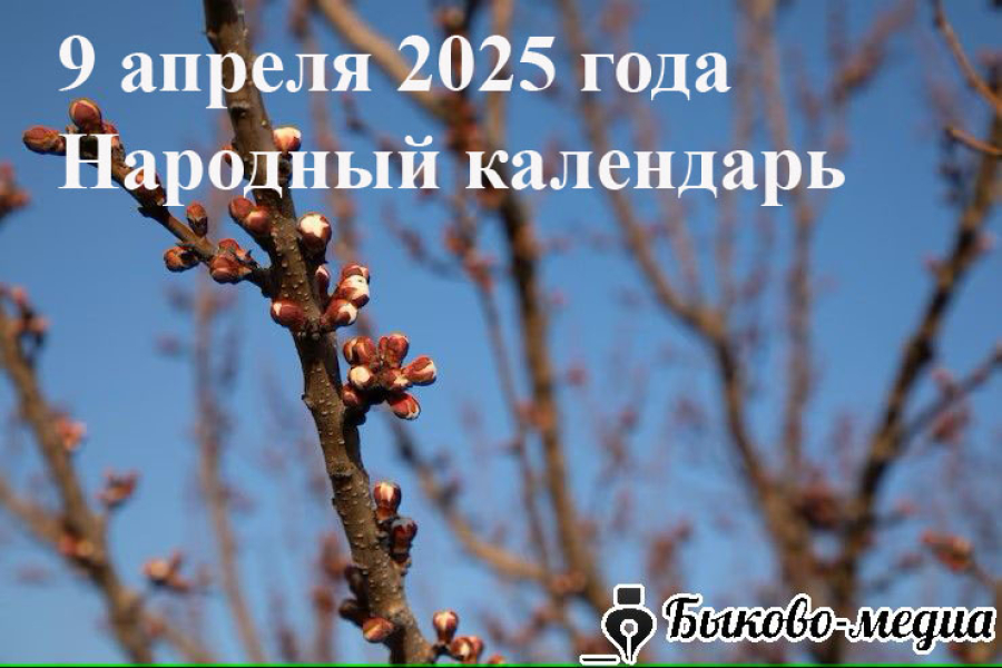 Народные приметы на 9 апреля 2025: что можно и нельзя делать в этот день