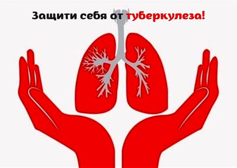 Туберкулез: предупрежден, значит вооружен!