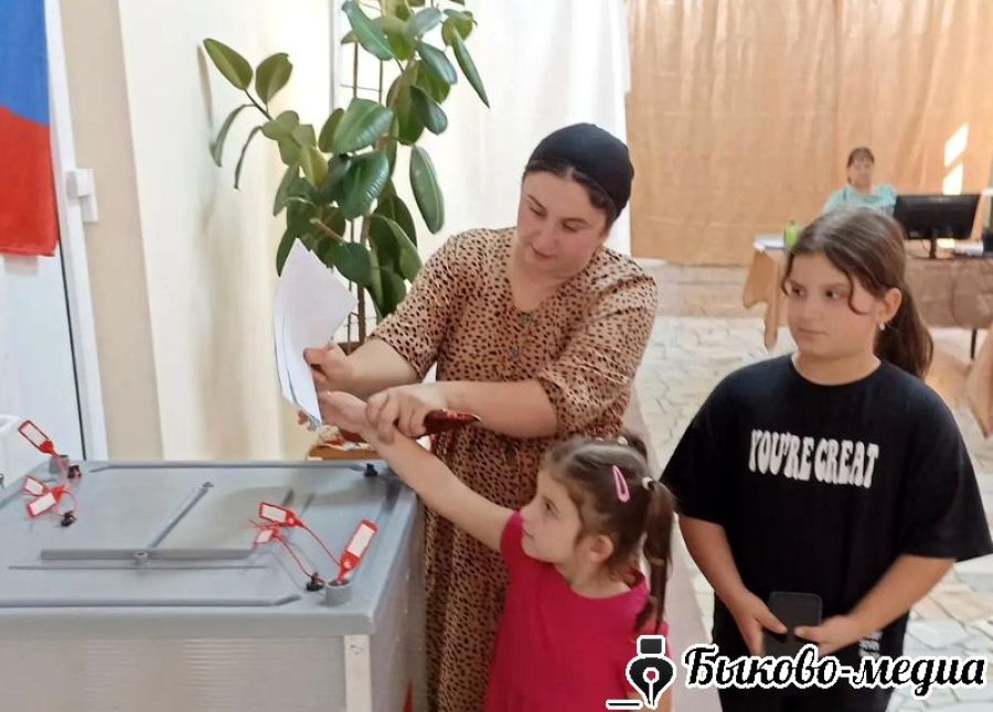 Преемственность поколений на избирательных участках Красносельца
