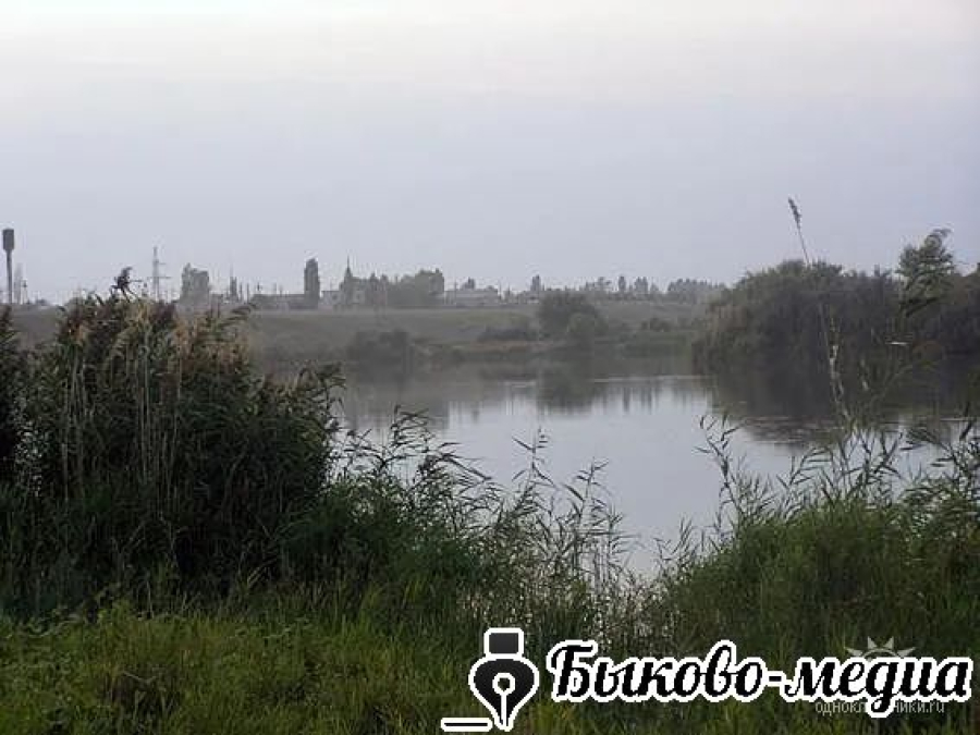 Народные приметы на 9 июля 2025 года