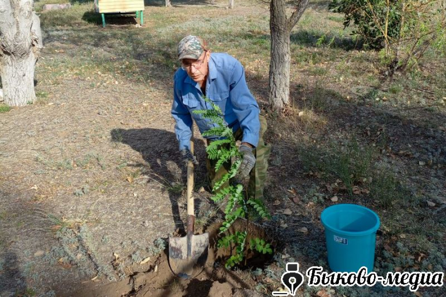 В Зеленом подвели  итоги по благоустройству