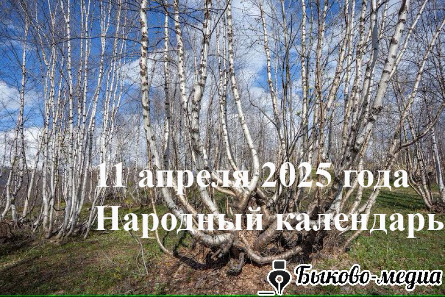 Народные приметы на 11 апреля 2025: что можно и нельзя делать в этот день