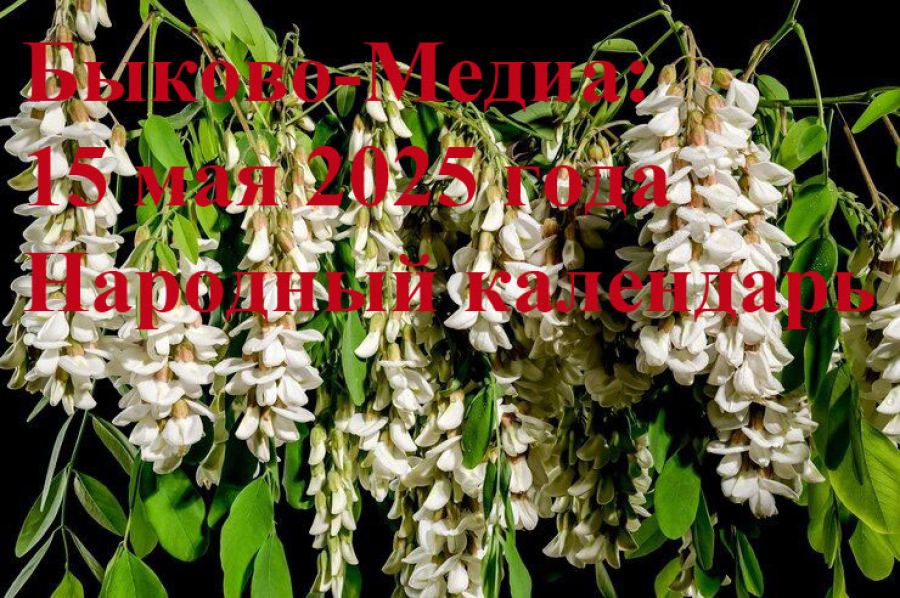 Народные приметы на 15 мая 2025 года