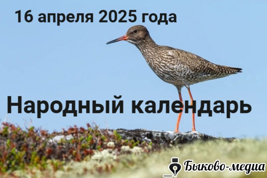 Народные приметы на 16 апреля 2025: что можно и нельзя делать в этот день