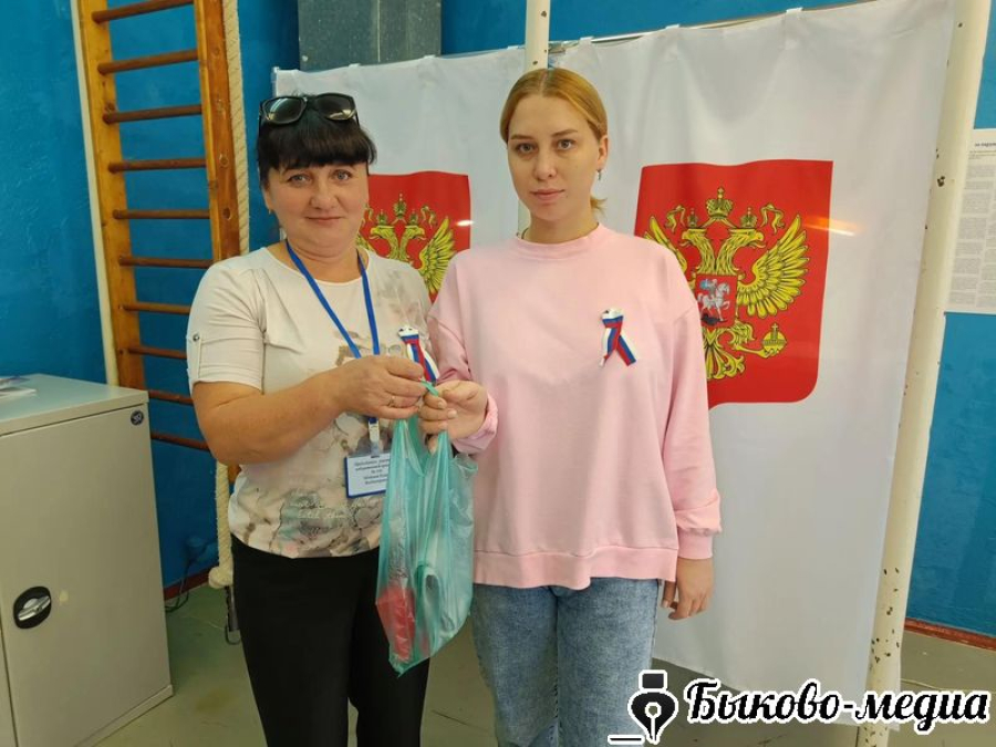 В Демидовском сельском поселении стартовало голосование