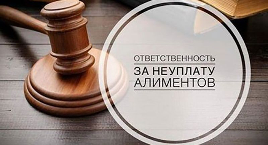 Жительница Быковского района осуждена за неуплату алиментов своим несовершеннолетним детям