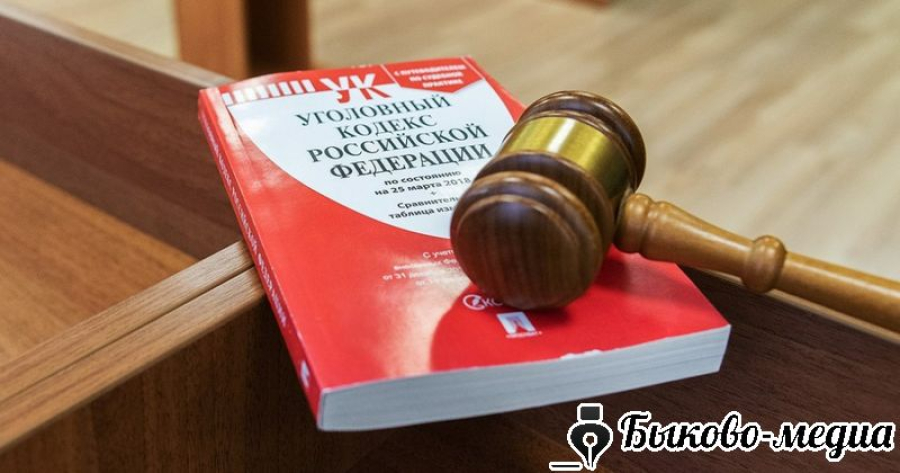 Женщине, совершившей мошенничество в отношении фермера Быковского района, вынесен приговор