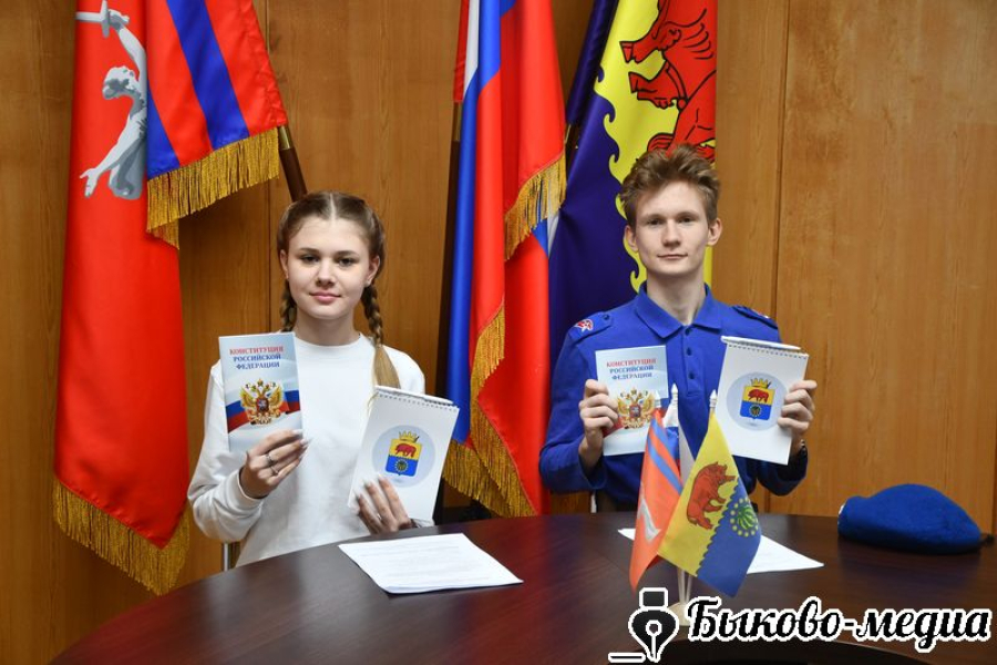 Быковские школьники вошли в состав ТИК