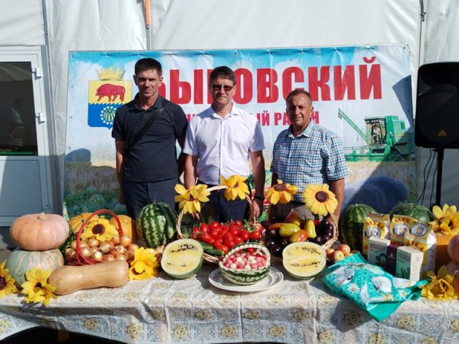 Быковский район участвует в выставке овощеводов