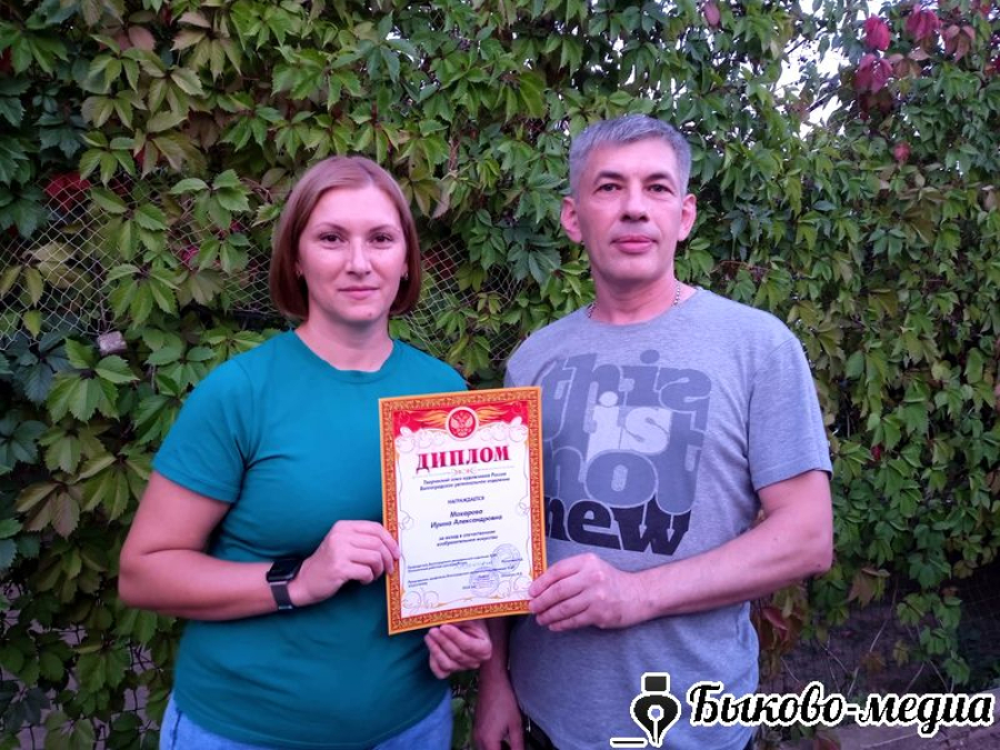 Художники района отмечены региональными наградами