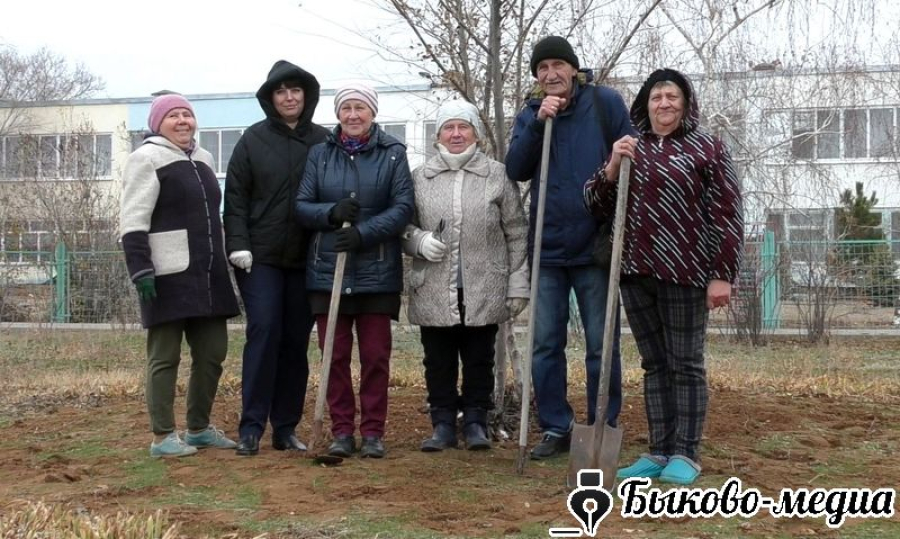 На площади Приморска посадили "Клумбу Победы" из тюльпанов