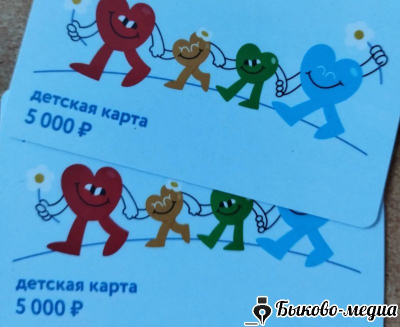 Девять семей района получили помощь от фонда &laquo;Детский мир&raquo;
