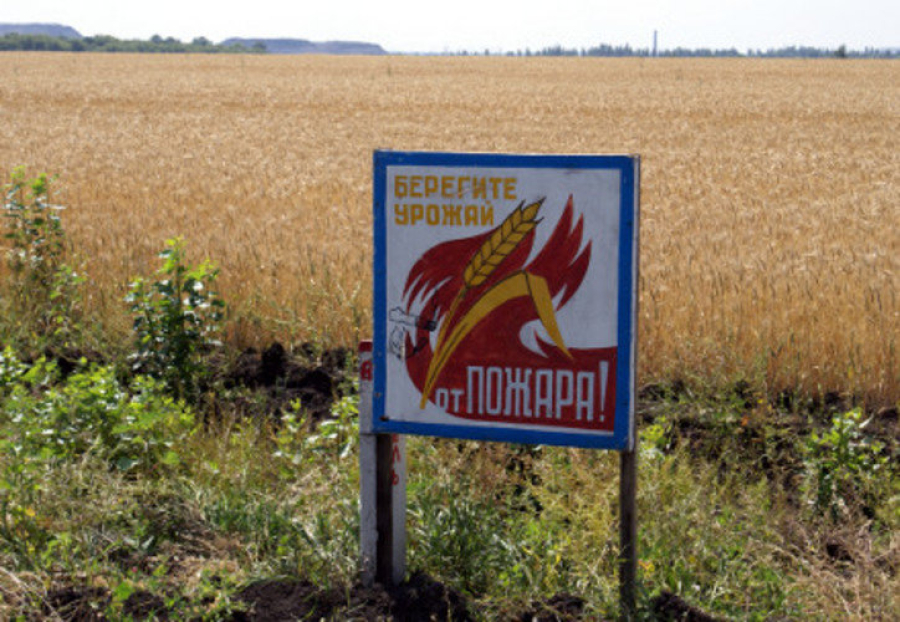Приближается время начала уборки зерновых.