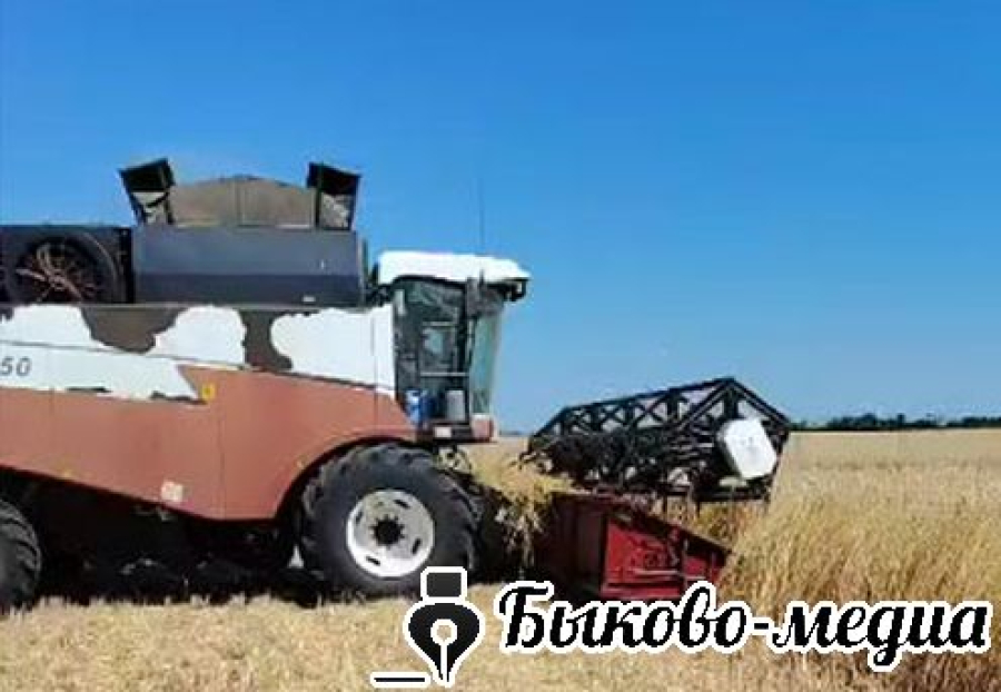 Быковские  аграрии приступили к уборке урожая