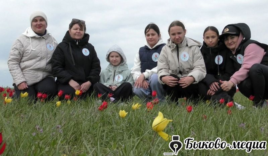 Активисты ТОС &laquo;Приморск&raquo; провели экологическую акцию &laquo;Сохраним степные тюльпаны&raquo;