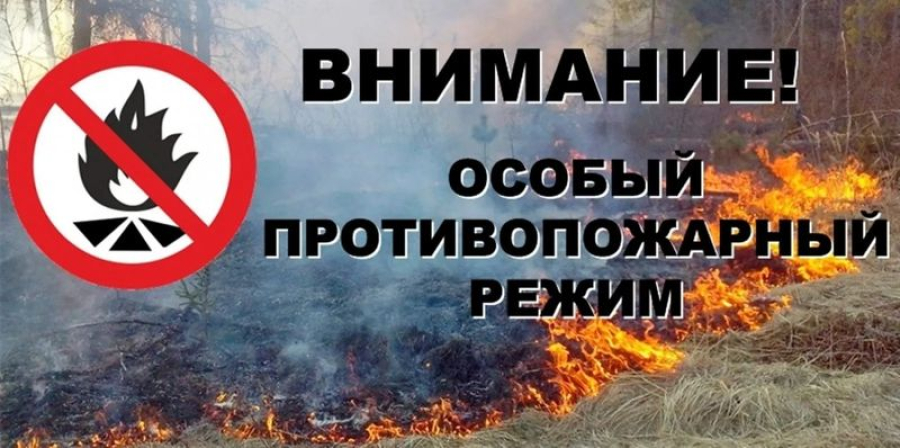 В регионе введен особый противопожарный режим