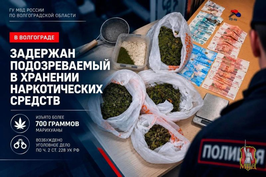 В Волгограде полицейские изъяли более 700 граммов марихуаны