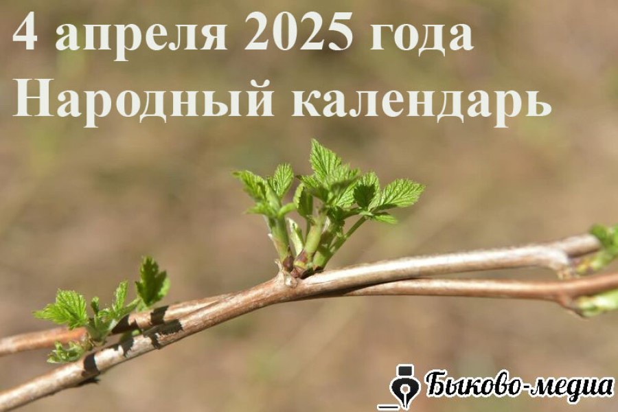 Народные приметы на 4 апреля 2025: что можно и нельзя делать в этот день