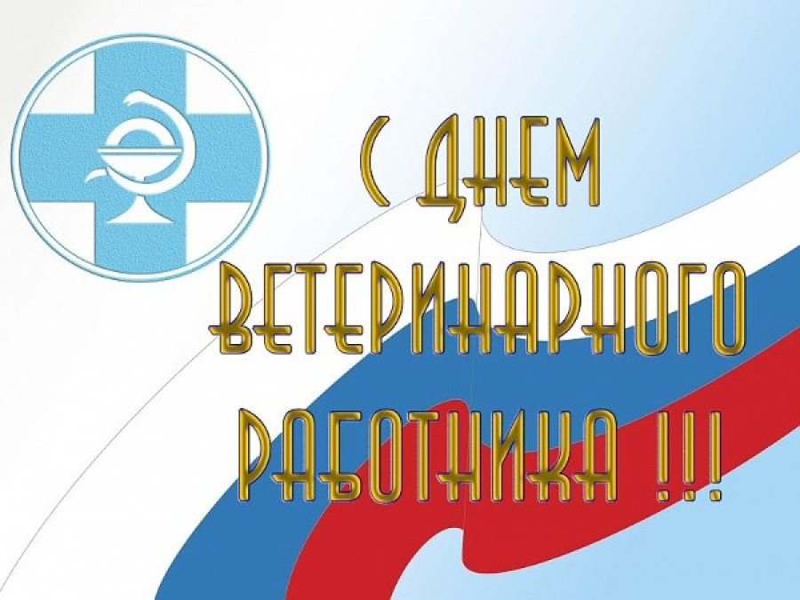 С Днем ветеринарного работника!