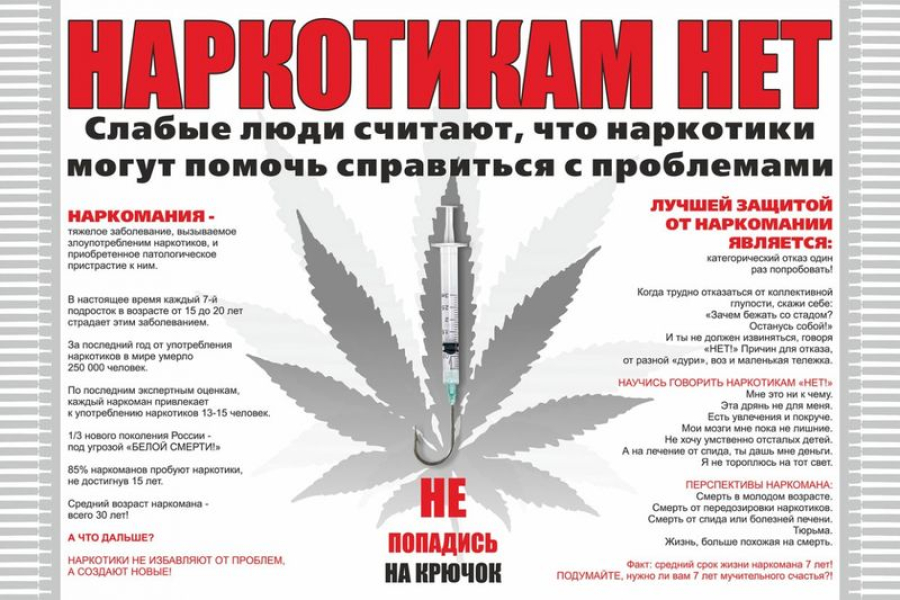 В Волжском полицейские пресекли деятельность местного жителя, культивировавшего наркосодержащие растения