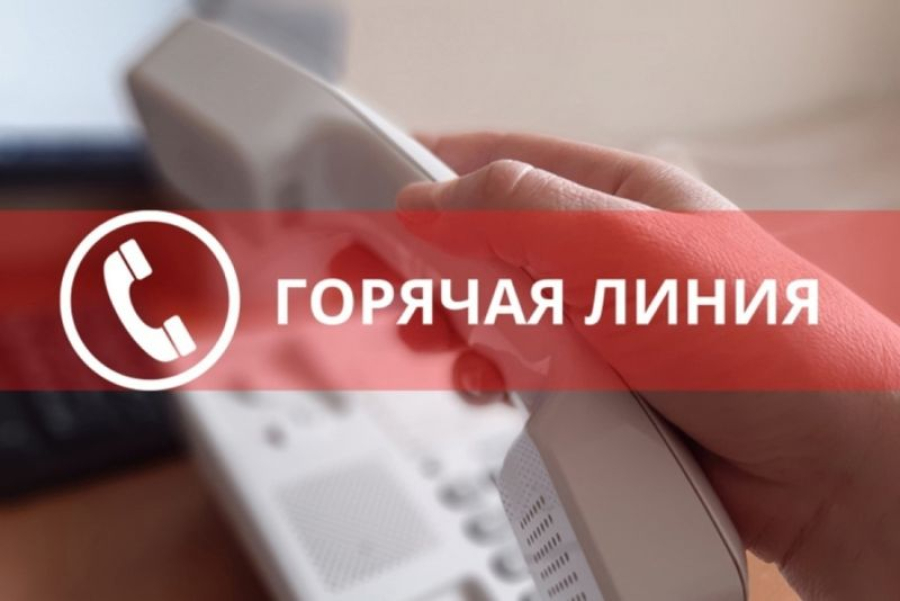 Быковский центр социальной защиты населения провел &laquo;горячую линию&raquo;