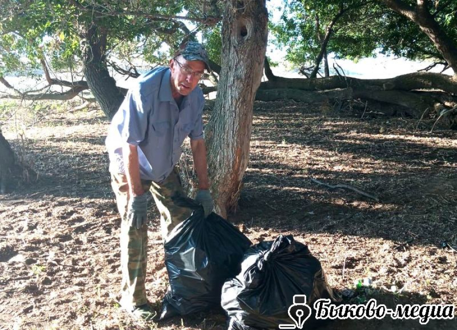 В Зеленом собрали мусор на дорогах