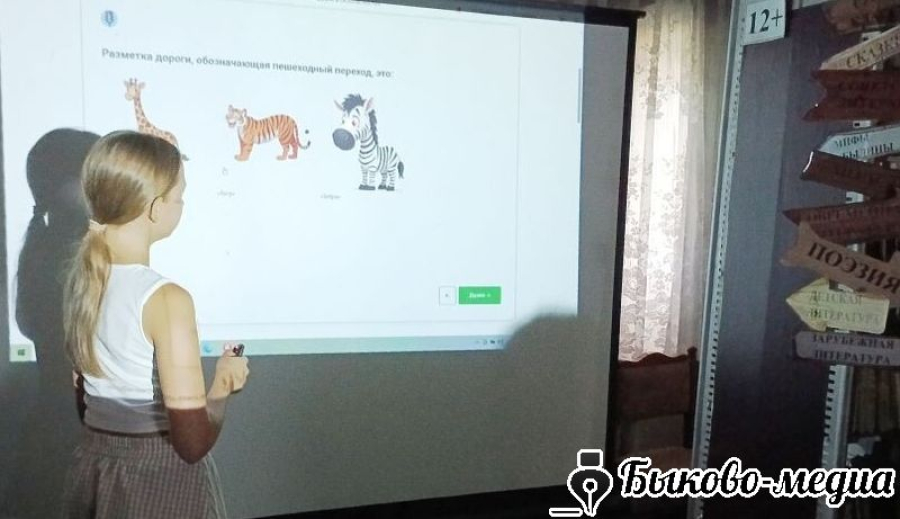 В Верхнем Балыклее отметили День светофора