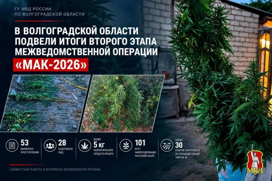 В регионе подвели итоги второго этапа операции &laquo;Мак-2026&raquo;