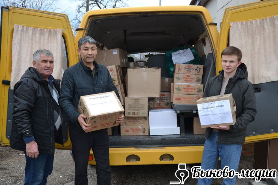 Из Быковского района отправлены новогодние посылки для бойцов СВО