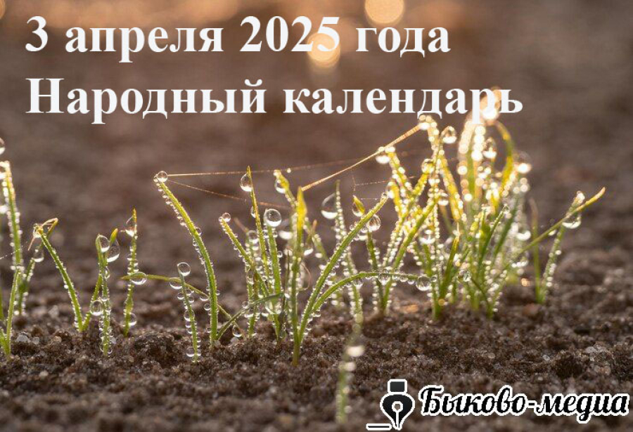 Кирилл Катаник: что можно и нельзя делать 3 апреля 2025 года