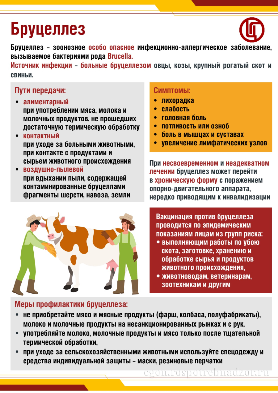 Памятка по бруцеллезу животных для населения