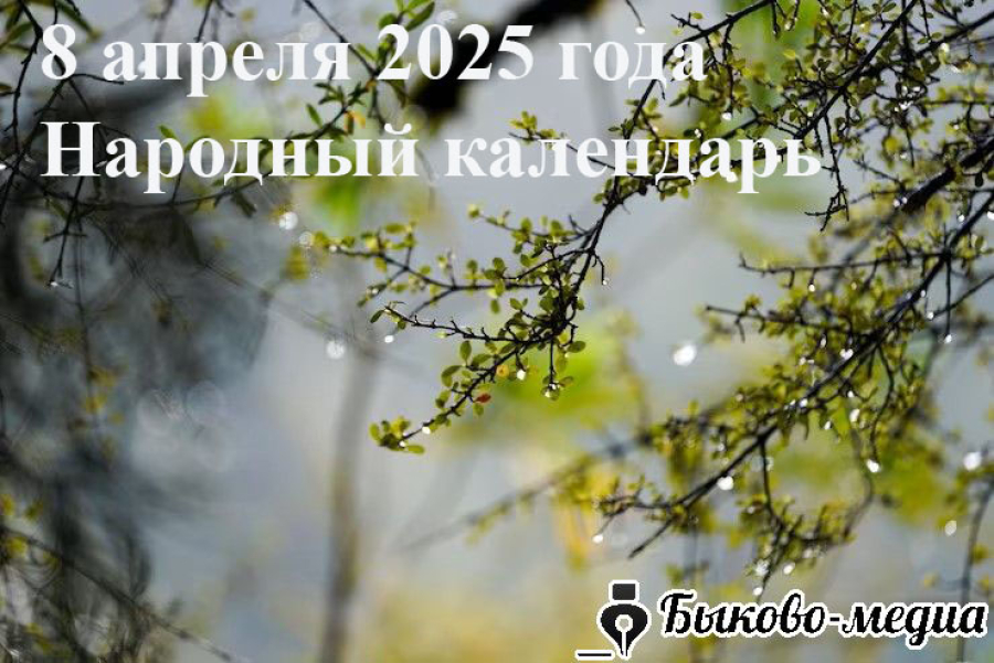 Народные приметы на 8 апреля 2025: что можно и нельзя делать в этот день