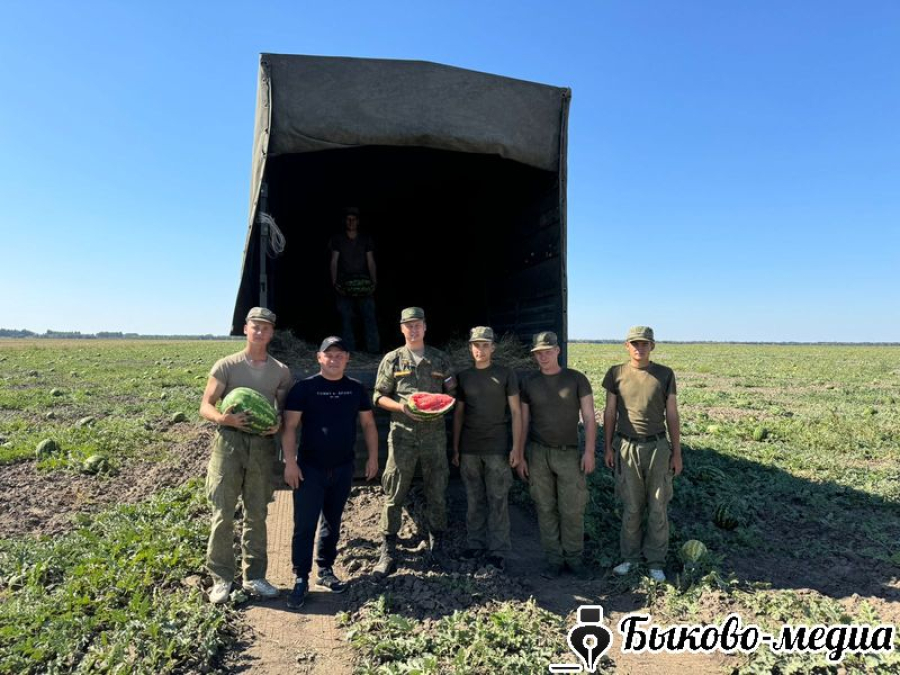 Сладкие арбузы из Победы отправлены военным в подарок