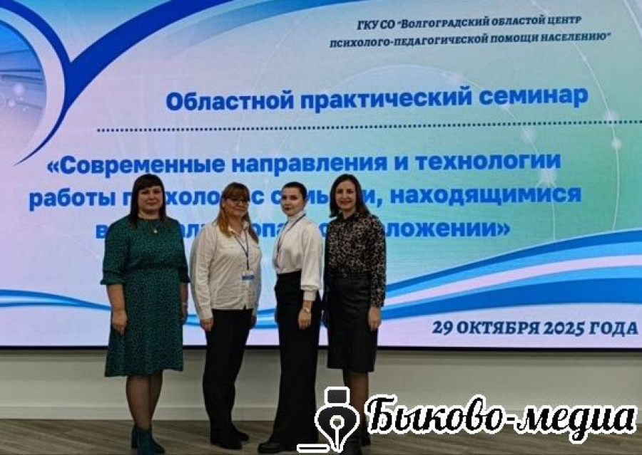 Специалисты  ГБУ СО "Быковский ЦСОН" приняли участие в региональном семинаре