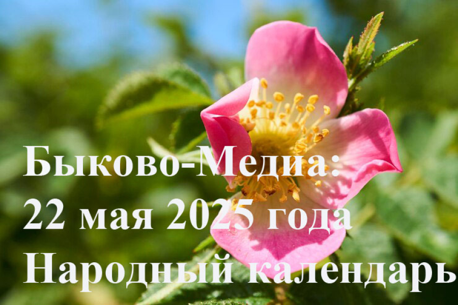 Народные приметы на 22 мая 2025 года