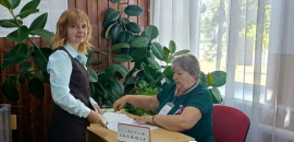 Участок № 211 в Зеленовском поселении: старт дан!