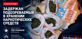 В Волгограде полицейские изъяли более 700 граммов марихуаны