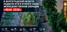 В регионе подвели итоги второго этапа операции «Мак-2026»
